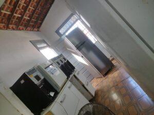 image-4-300x225